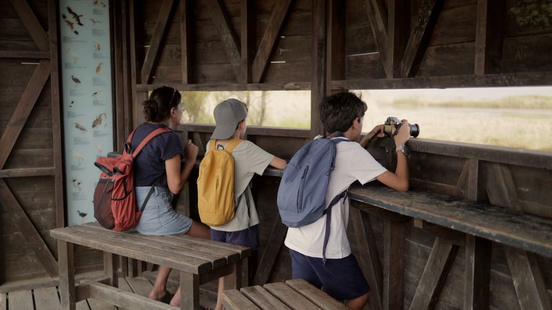 Three children — a girl and two boys — observe a wetland from a wooden bird hide as one photographs wildlife, enjoying an educational outdoor nature exploration together