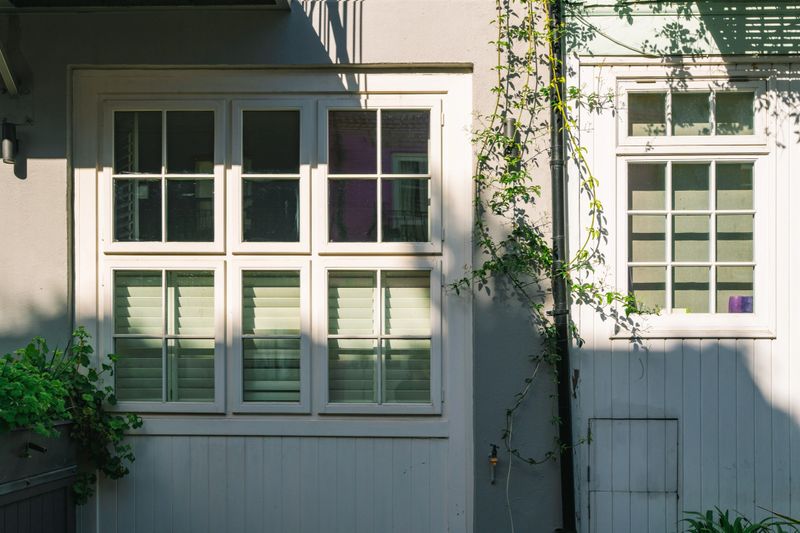 Sunlight casting shadows on a home facade with climbing ivy and white-framed windows
