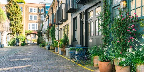 Charming cobblestone street lined with plants and chairs.