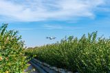 Best AI Tools for Horticulturists in Australia (2026)
