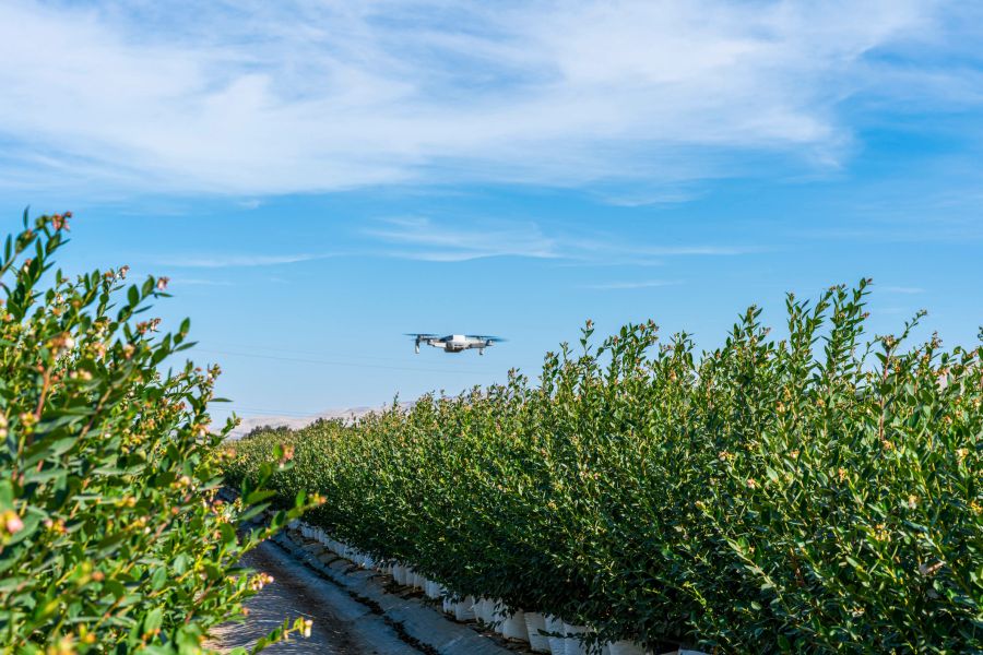 Best AI Tools for Horticulturists in Australia (2026)