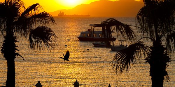 Sunset over the sea with boats and palm trees.