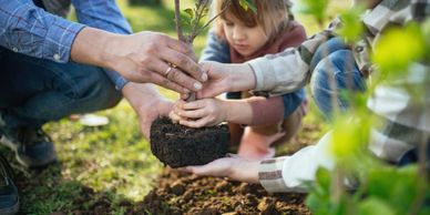 Family planting a young tree together outdoors.