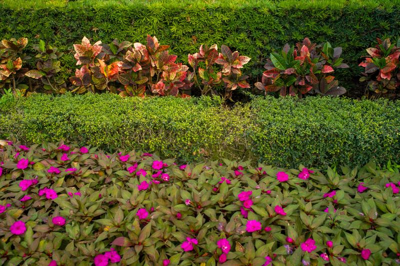 Beautifully landscaped garden with vibrant flowers and neatly trimmed hedges.