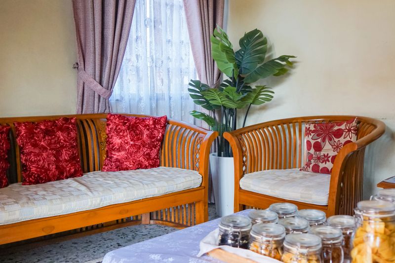 Warm living room corner with wooden chairs, cushions, lace curtains, and a tall potted plant creating a welcoming home atmosphere.