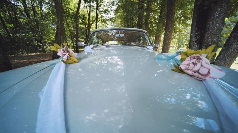 Classic white vintage automobile adorned with floral arrangements and satin ribbons, waiting near forest foliage during wedding celebration