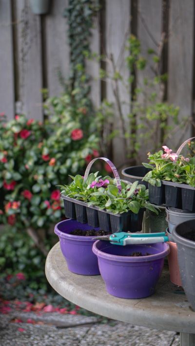 Various pots and seedlings arranged on a round table outdoors.