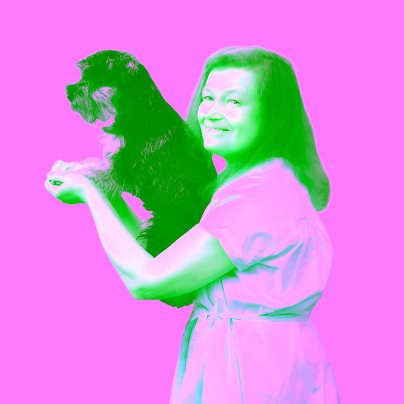 Woman holding schnauzer dog in hand. Smiling female owner with pet. Concept of animal care, friendship, love for animal, domestic life, companionship, veterinary care and pet adoption.