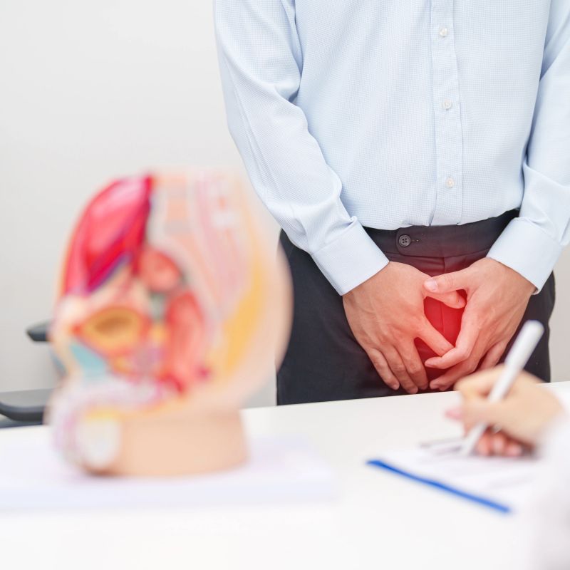 Doctor with Male Reproductive System anatomy model. Male consultation, Prostate Cancer, Enlarged prostate, Prostatitis disease, Male Infertility, Erectile dysfunction, Penis and Male genital disorder