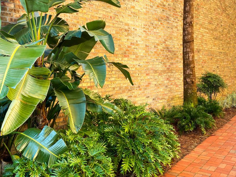 Large green tropical leaves and lush plants grow along a yellow brick wall with sunlight highlighting textures and colors creating a vibrant outdoor garden scene with earthy tones