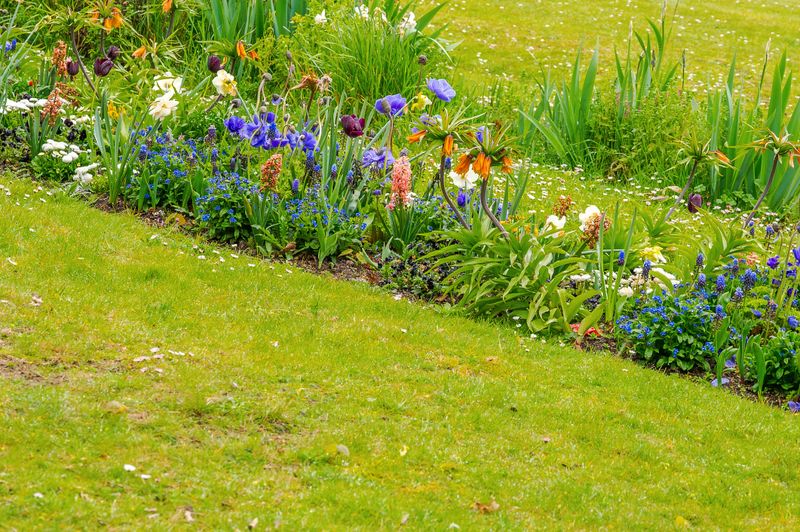 Vibrant spring flower bed bursting with colorful blooms and lush green grass