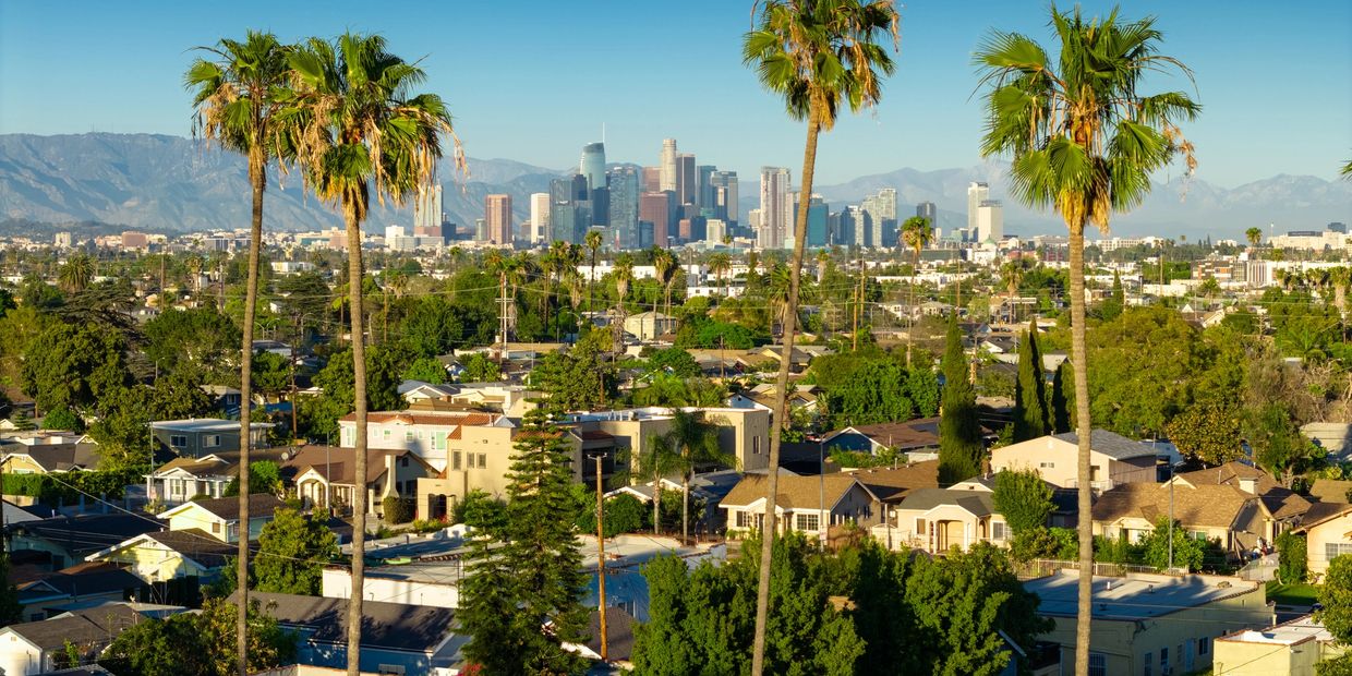 A backdrop of the landscape of the City of Los Angeles 