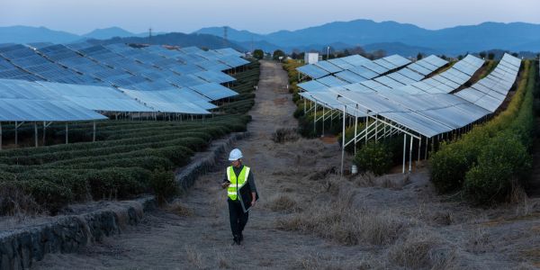 Large scale solar panel installation over agricultural land with a technician inspecting the site.