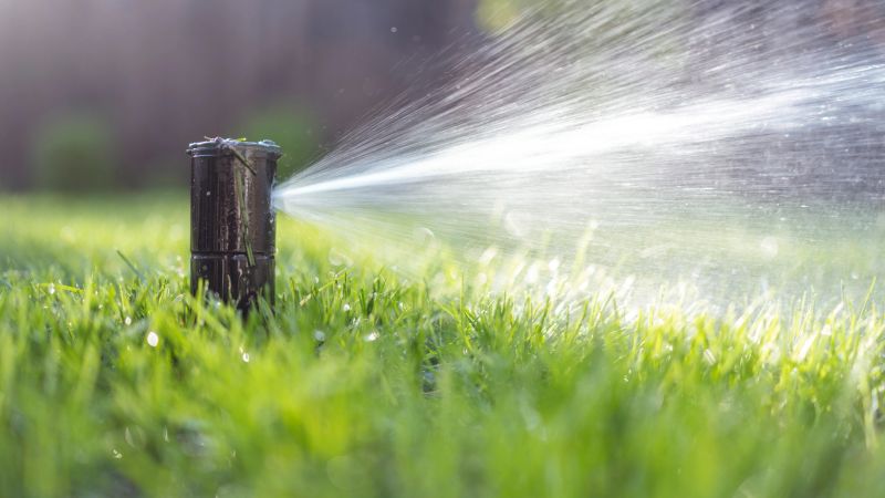 Automatic lawn sprinkler head spraying water over lush green backyard grass, efficient irrigation maintaining healthy turf and conserving water under bright summer sunshine