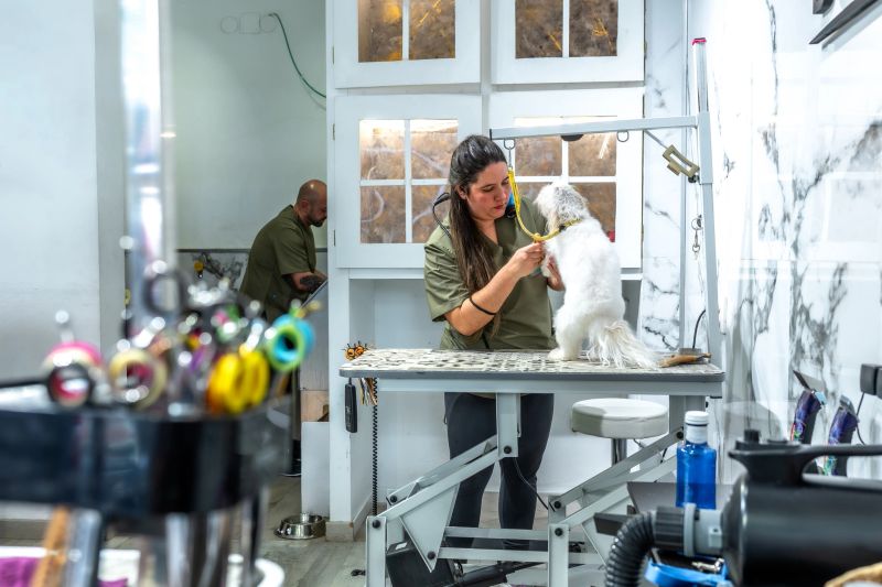 Woman groomer standing at a professional grooming table working on a small white maltese dog, carefully trimming its fur, while a man works in the background of the bright pet salon