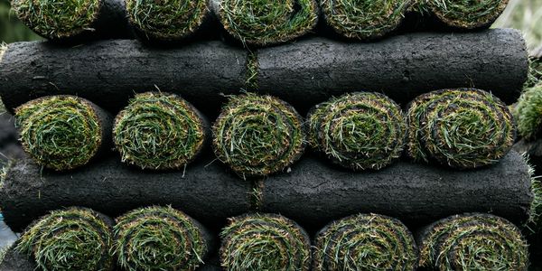 Stacks of rolled sod grass laid on charred logs.