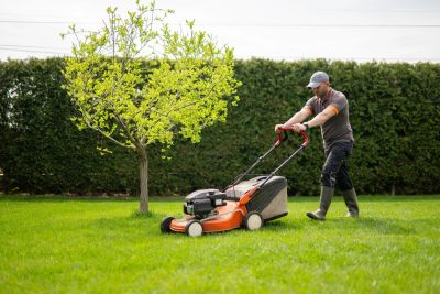 A man mowing the lawn with a push lawnmower on a green lawn.