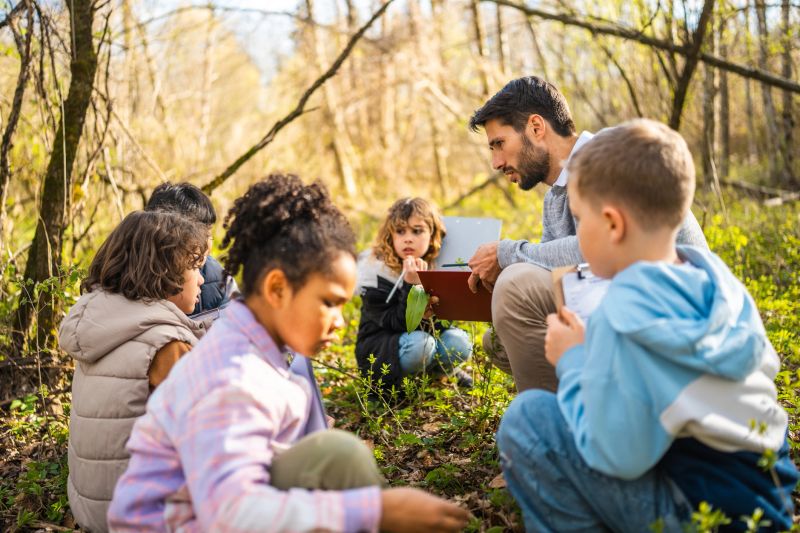 Children engaging in a Montessori outdoor learning activity with a teacher in a forest. The group examining a plant, fostering curiosity and focused work among classmates in a natural setting.