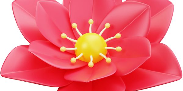 A vibrant red and yellow stylized flower with smooth petals.