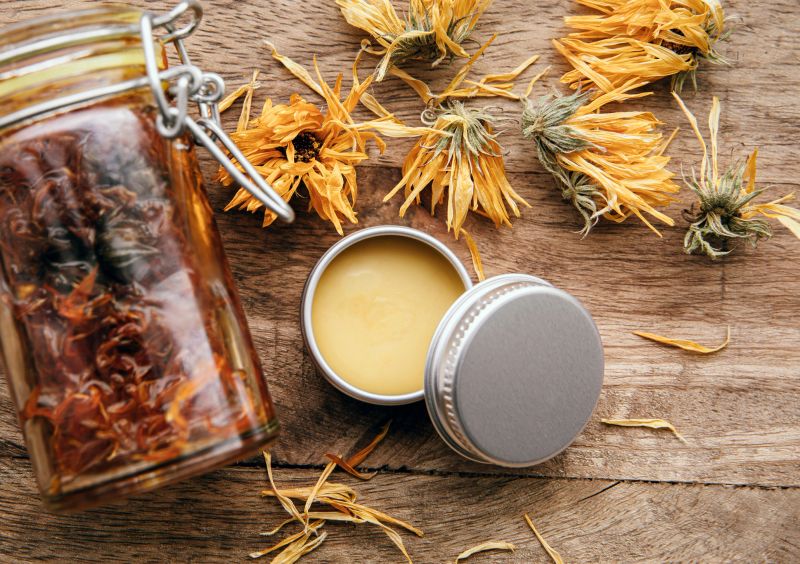 Making homemade Calendula officinalis common marigold cold infusion oil in glass jar and handmade medicinal salve in metal jar. Above view.