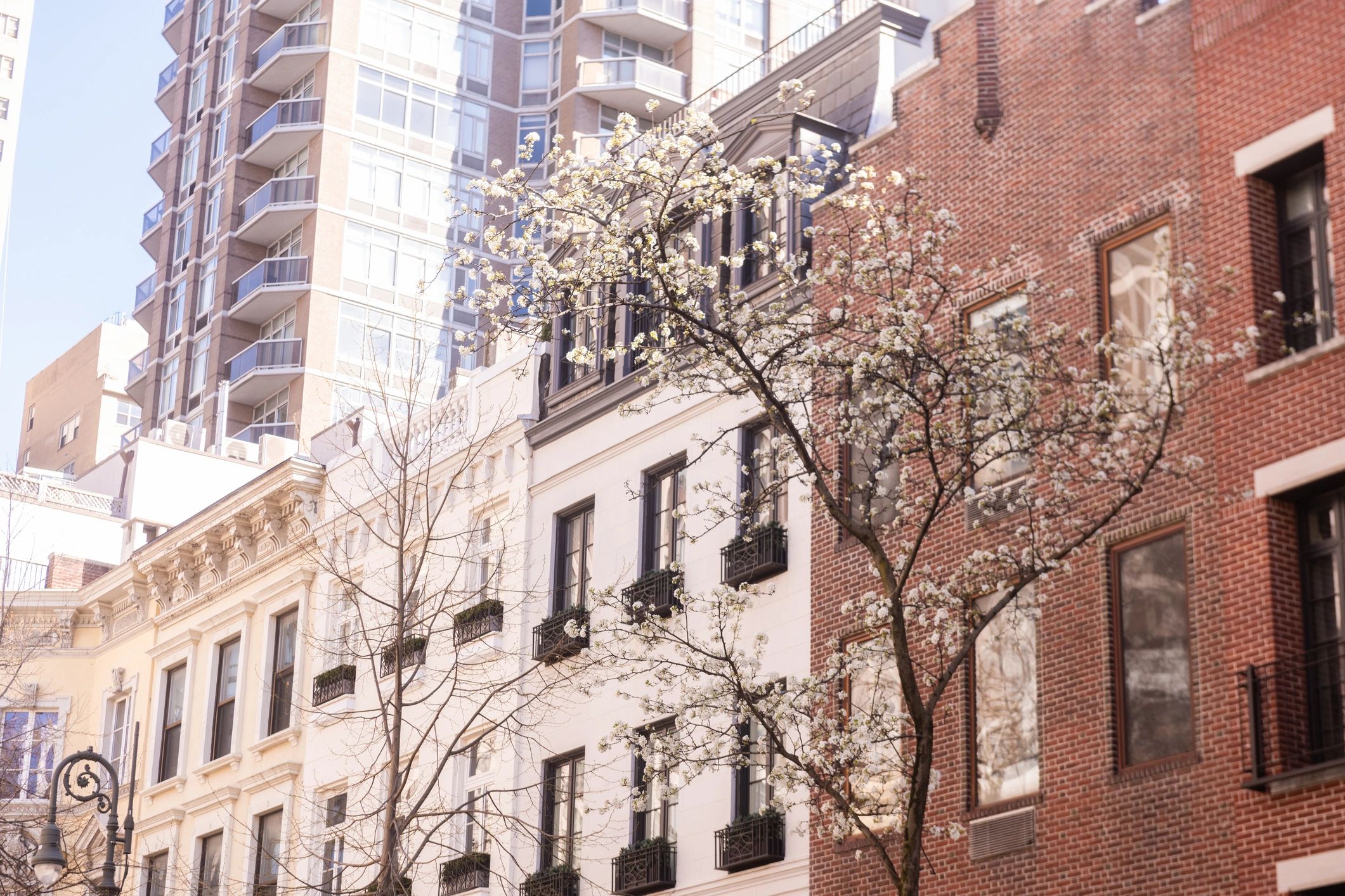 Upper West Side Florist | Same-Day Flower Delivery | Citywide Flower Plants