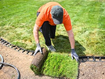 A man installs sod on a lawn.