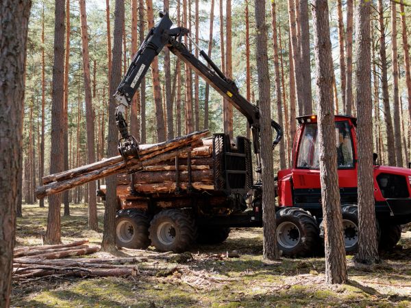 #DEBRISREMOVAL, #FORESTRYMULCHING, #TREESERVICE #LANDCLEARING, #GADSDENCOUNTY, #LEONCOUNTY, #QUINCY,