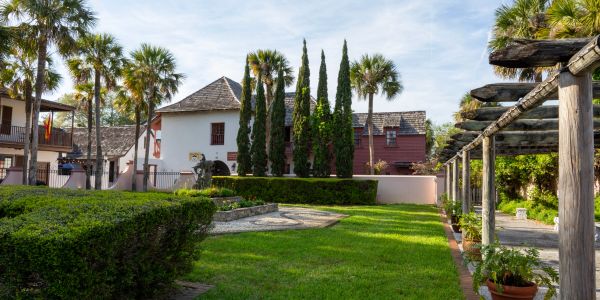 Sunny garden with palm and cypress trees near historic buildings.