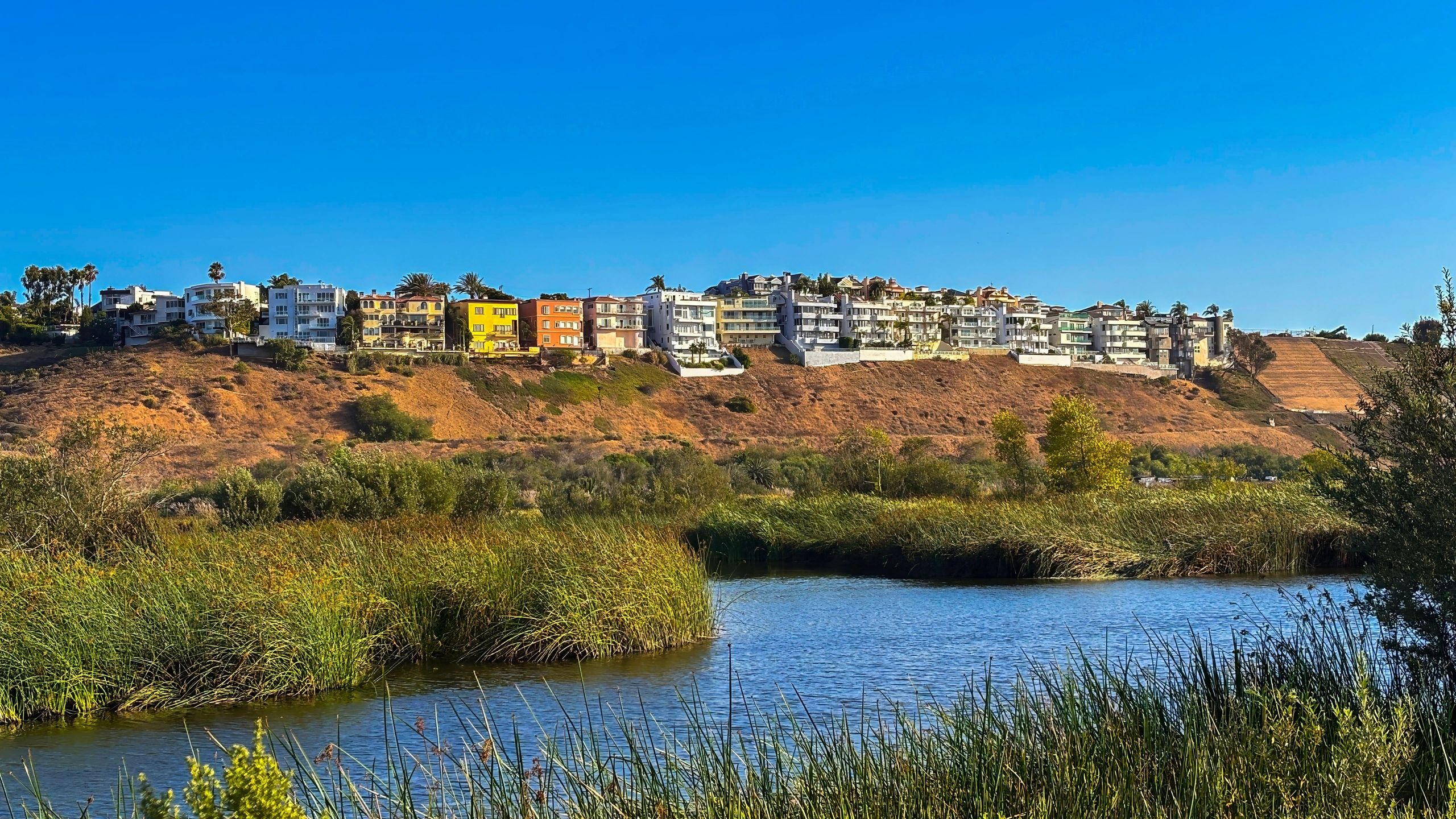 Wetlands, water and nearby buildings in Playa Vista, Los Angeles, California.