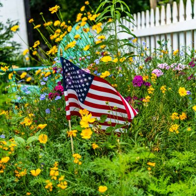 American flag among colorful wildflowers in a garden.