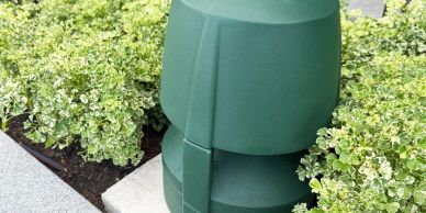 Green outdoor electrical box surrounded by greenery.