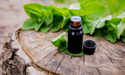Essential oil bottle with fresh green leaves on wood.