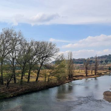 Calm river flowing through a tree-lined landscape under a blue sky.