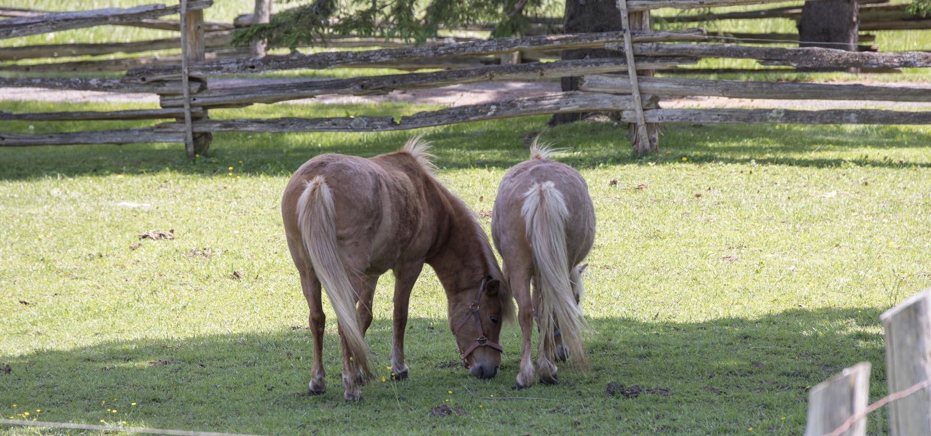 Fallbrook Trail Ranch