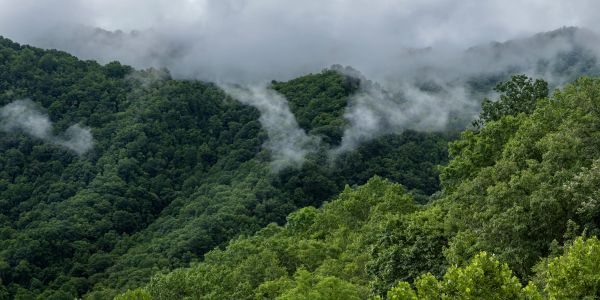 Mist drifts over lush green mountains.