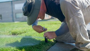  repairing a sprinkler in a garden lawn.
