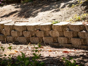 A low stone retaining wall in a garden.