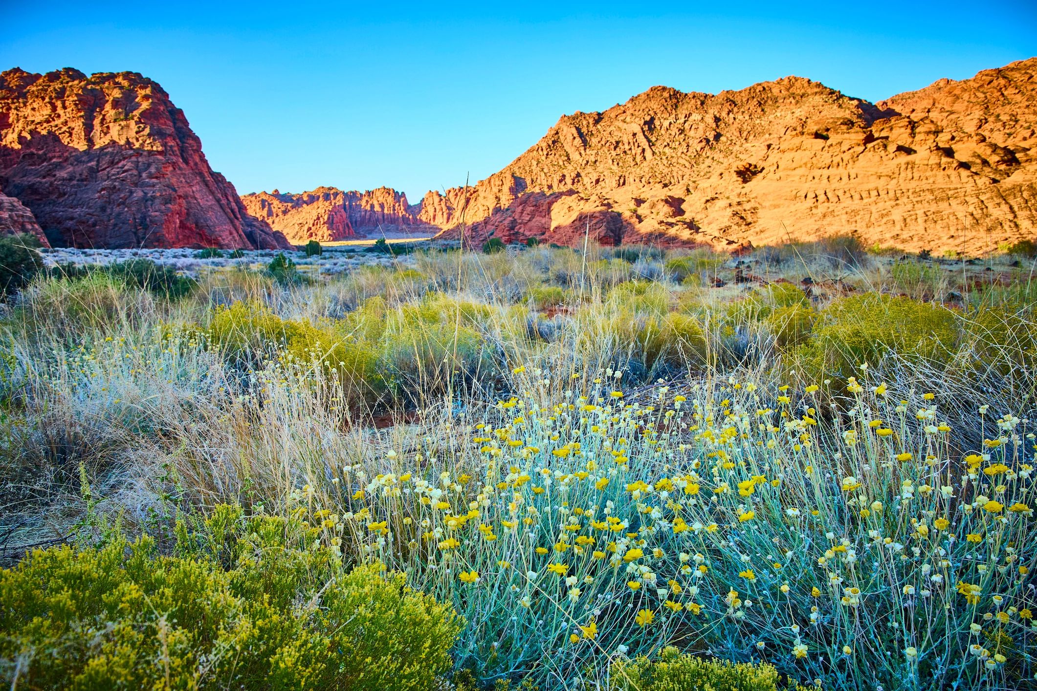 Snow Canyon State Park red rock cliffs and desert landscape near St. George, Utah
