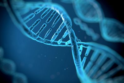 Image of DNA helix