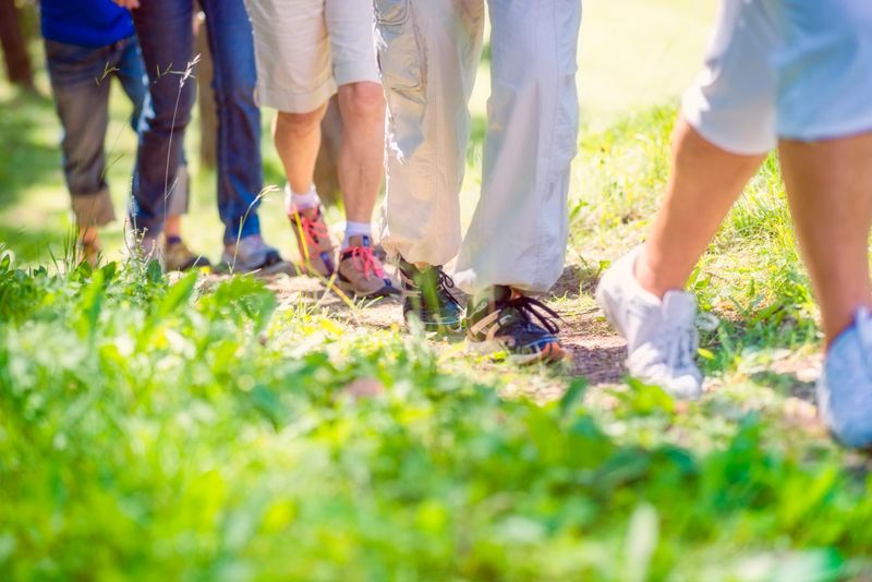 Group of man and women during hiking excursion in woods, walking in a queue along a path.