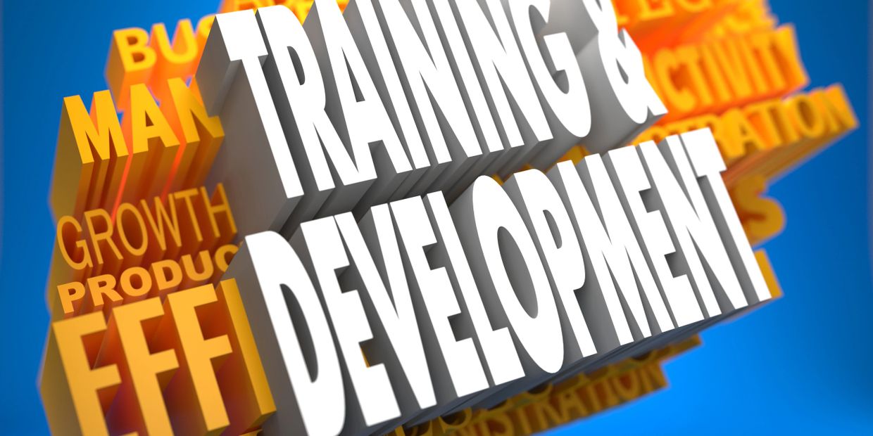 3D words emphasizing training and development in a dynamic layout.