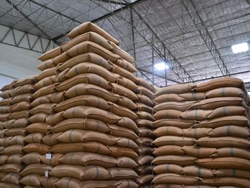 Stacks of brown sacks neatly piled in a warehouse.