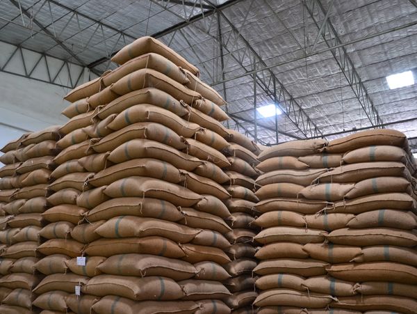Stacks of brown sacks neatly piled in a warehouse.