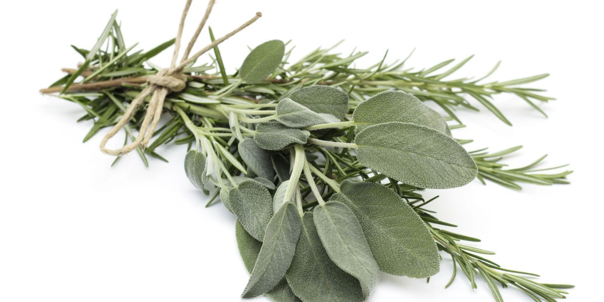 Bundle of fresh sage and rosemary herbs.