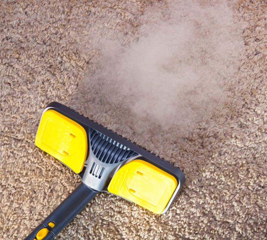 Passage d’une brosse vapeur sur un tapis
