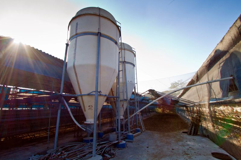 Ricemill process production tower