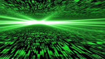 Matrix style Dia de los Matrix Follow the White Rabbit they said!