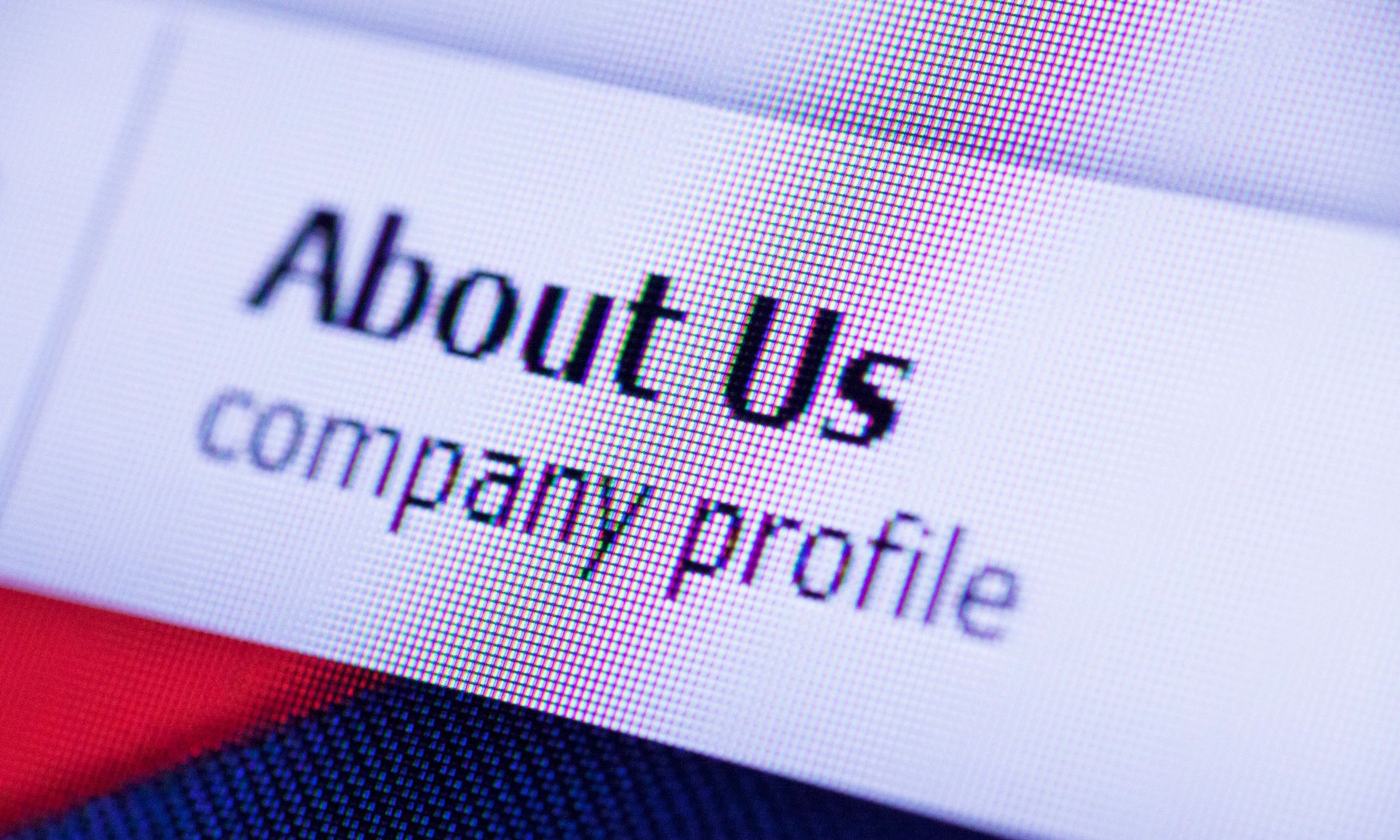 MS LOGISOL, Acerca de nosotros, about us, Company profile.