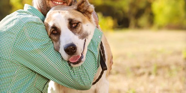 A man warmly hugging his happy dog outdoors.