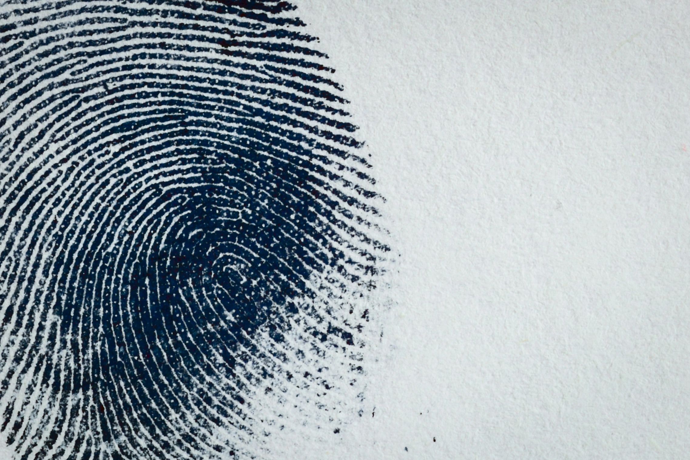 Close-up of a fingerprint on paper.